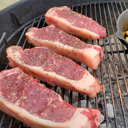 6-Pack of Premium BBQ Rubs